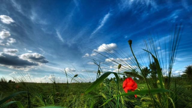 Майндфулнесс