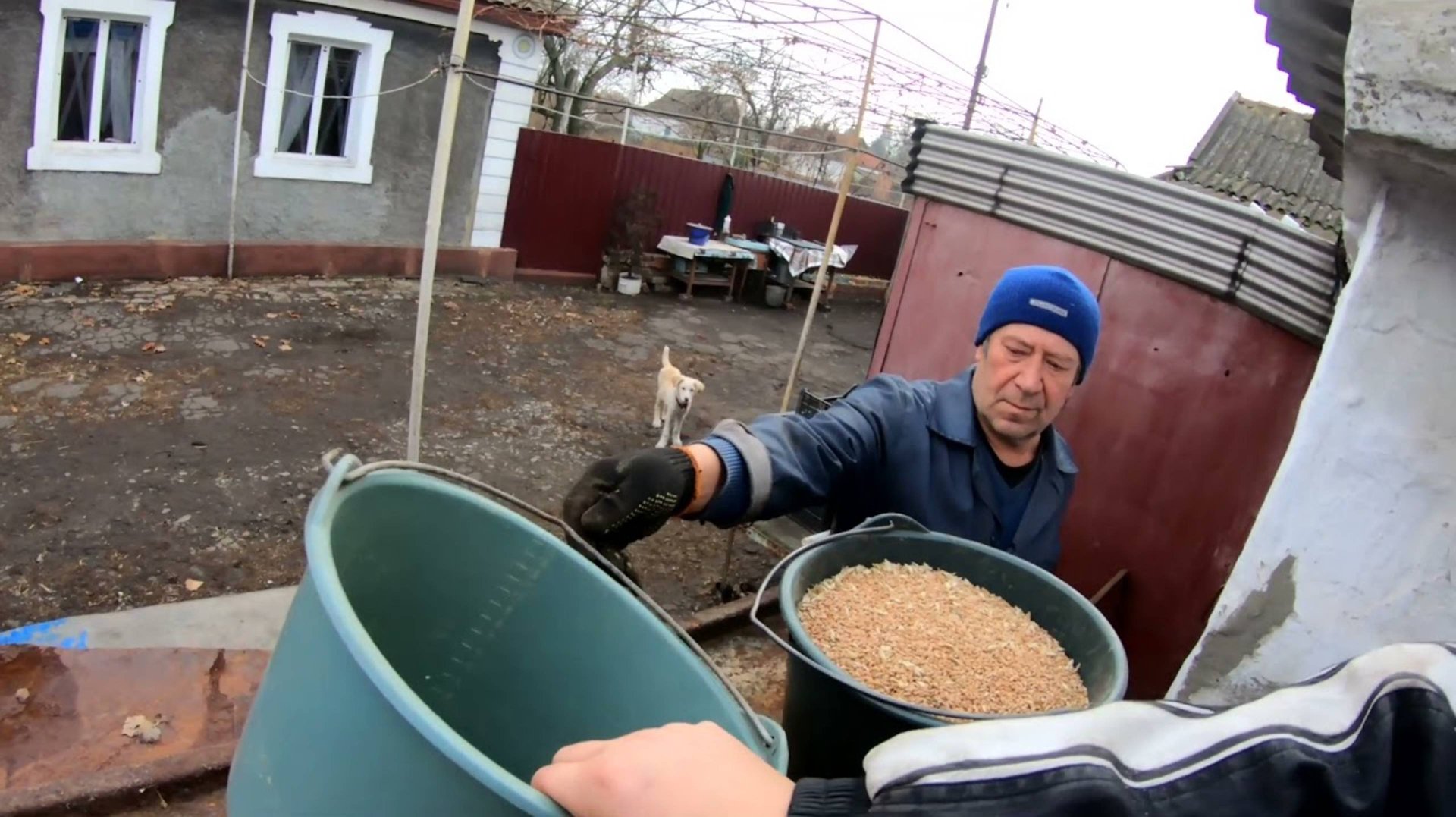 Металлический ящик для хранения зерна 🌾 Запасов пшеницы и ячменя компактное зернохранилище дома
