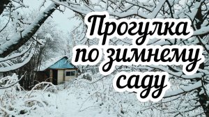 Деревенские будни  Прогулка по зимнему саду❄️