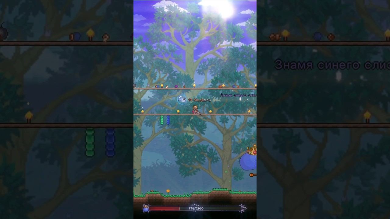 Новый Стрелок в Террарии 1.4.4 - Король Слизней #terraria #террария #shorts смотреть онлайн