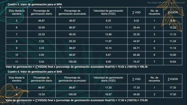 Efecto de agentes oxidantes en la germinación de semillas de Guazuma ulmifolia Lam. (Bolaina negra) смотреть онлайн