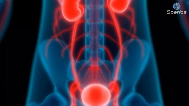 How 60 Years Old Can Achieve A Youthful Appearance By Fitness Method смотреть онлайн