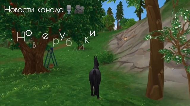 Внимание! Срочные новости! // "Новости канала" выпуск 1 // Star Stable online смотреть онлайн
