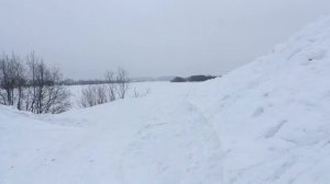 Возвращение мамонтенка