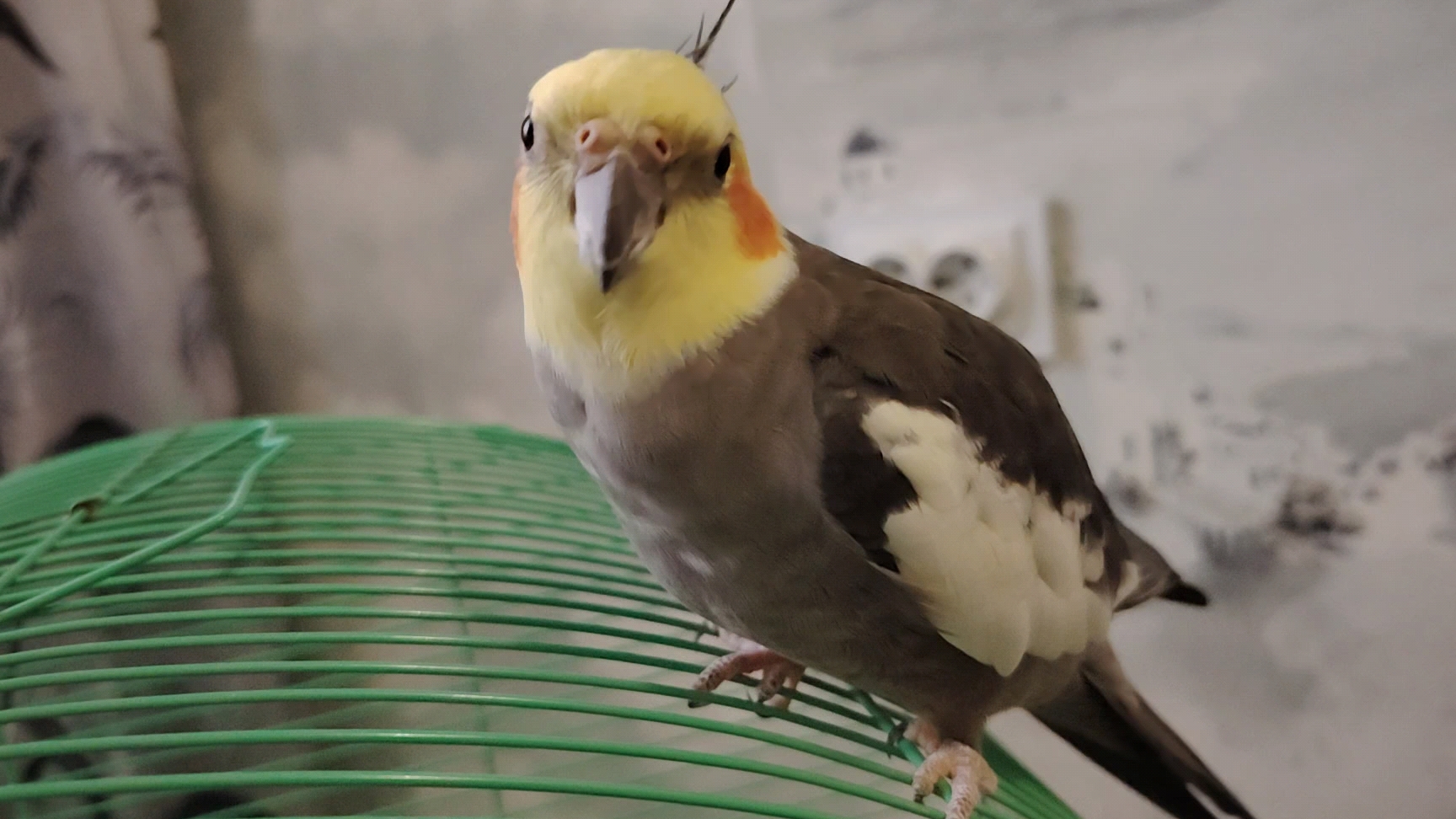 Ейск! Немного о разном, пирага на всех не хватило, дубль 2, по привычке, наверно надо отвыкать ! смотреть онлайн