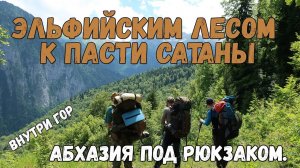 Поход по горам Абхазии. Эльфийский лес. [2/6]