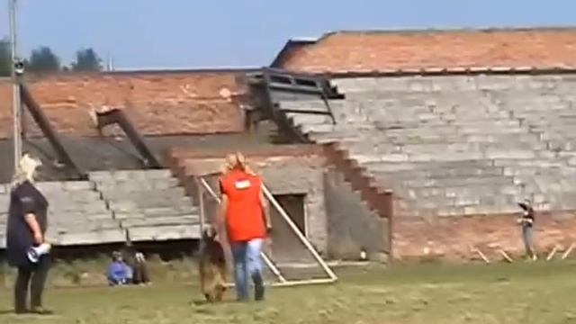 32 YANGODOS GEVANHAUS смотреть онлайн