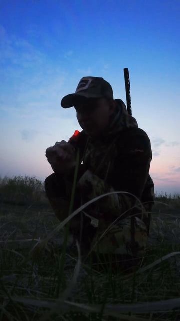 Учимся манить серого гуся за минуту #манок #гусь #охота #hunting #fishing #vlog #scoolhunter #chill смотреть онлайн