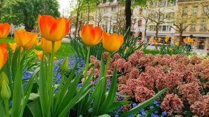 Самые красивые места на земле Швейцария, деревня, Гриндельвальд, Лунгерн