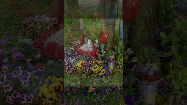 melissa hengefeld 2020 смотреть онлайн