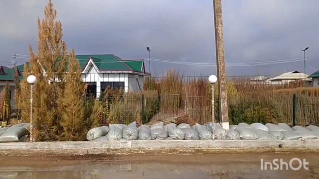 Узбекистон Павловния Дарахти М1 ФТЕ НАВЛАРИ Тошкент Вилояти тел +99890-810-18-70 смотреть онлайн