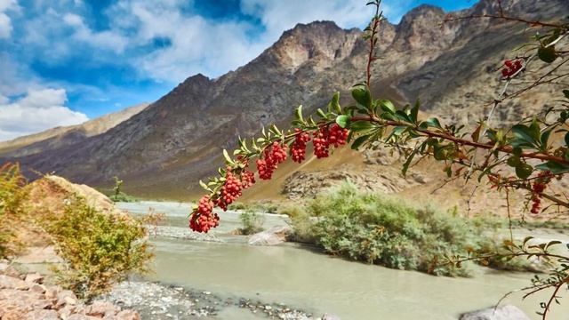 964.🎼. The Castellows feat. Flatland Cavalry - «Place They Call Home» смотреть онлайн