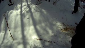 18 04 2017г едем за водой на мотобуксировщике