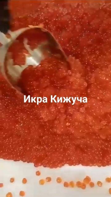 икра Кижуча смотреть онлайн
