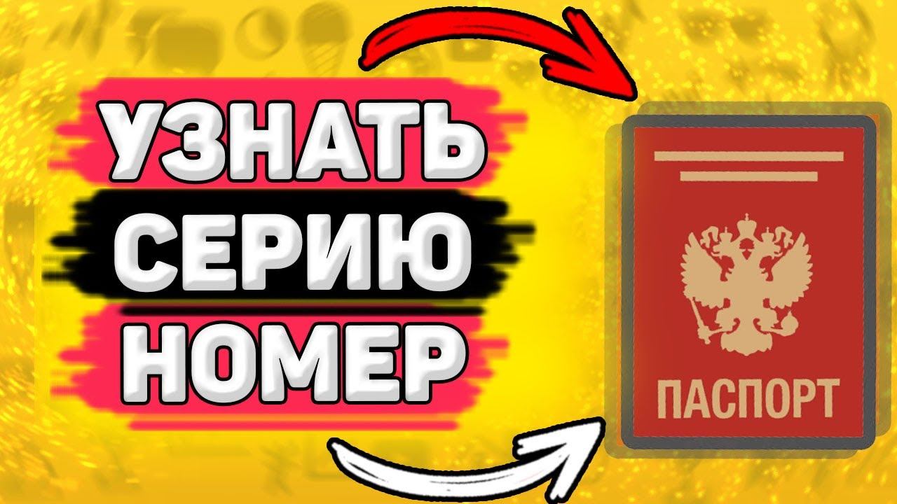 Как Посмотреть Серию и Номер Паспорта РФ. Где узнать серию и номер паспорта рф. смотреть онлайн