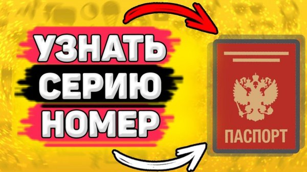 Как Посмотреть Серию и Номер Паспорта РФ. Где узнать серию и номер паспорта рф.