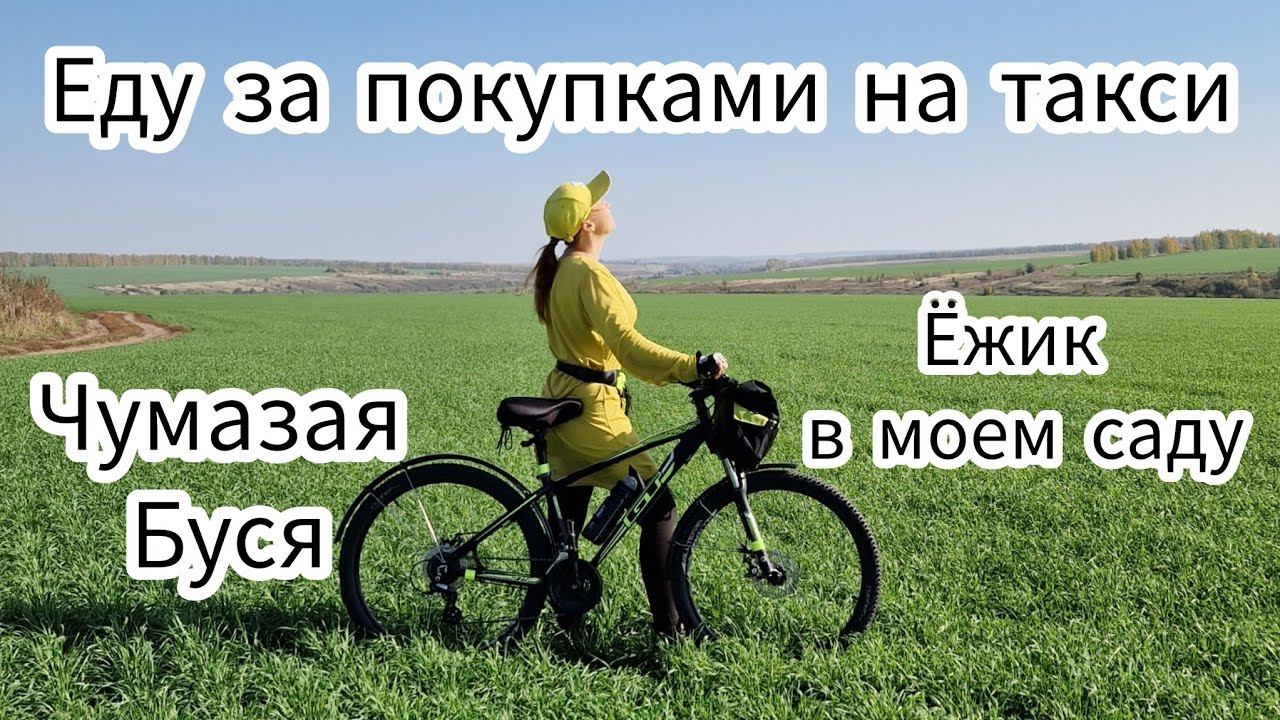 Еду за покупками на такси. Ёжик в моем саду. Чумазая Буся. смотреть онлайн