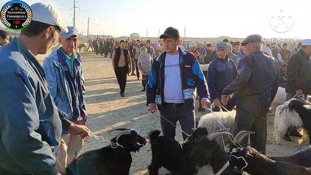 🐐КОЙ ЕШКИЛЕР🐑МАЛ БАЗАР,СКОТНЫЙ РЫНОК#тахиаташ#каракалпакистан#узбекистан#казакстан#россия#базар. смотреть онлайн
