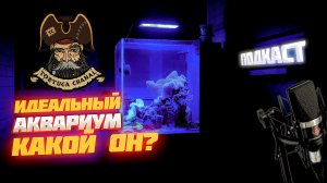 Идеальный морской аквариум для новичка: какой он?