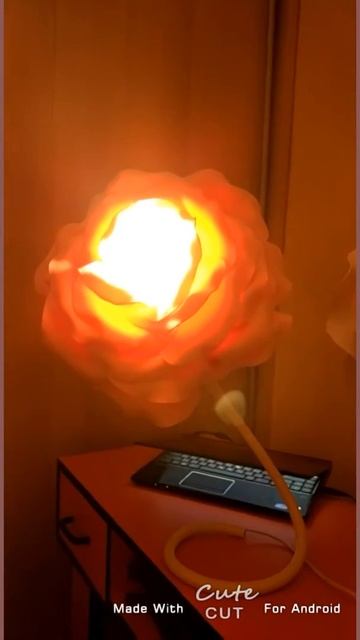 Ростовые цветы Астана смотреть онлайн