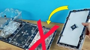 Alex Boyko|Тропические муравьи прогрызли гипс! Нужно срочно менять модуль!