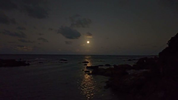 Magical light of the rising moon. Tropical full moon