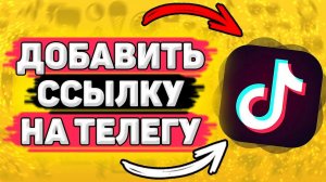 Как Добавить Ссылку на Телеграм в Тик Токе. Как привязать телеграм в тик токе