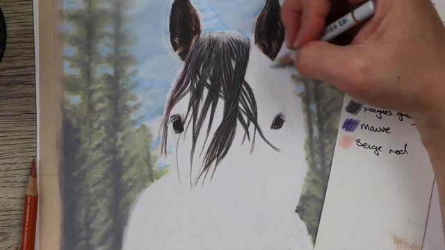 How to draw a HORSE with Colour Pencils! смотреть онлайн