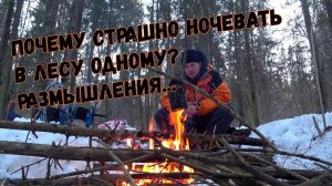 Зимний поход в лес без палатки. Почему страшно одному ночевать в лесу?