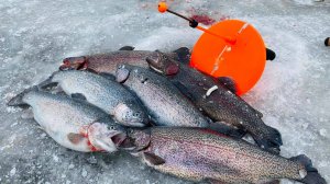 ФОРЕЛЬ ЖАДНО БЕРЁТ ЭТУ ПРИМАНКУ ЛОВЛЯ ФОРЕЛИ ЗИМОЙ