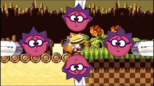 ракетный ёжик 😂😂😂😂