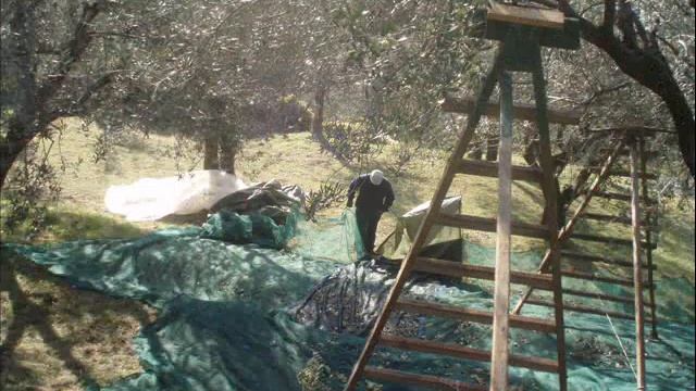 Polka by Ottavio Brajko!! смотреть онлайн