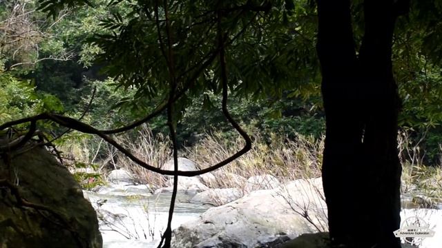 Debakunda waterfall | jangal safari| Simlipal bike trip|Episode 3 смотреть онлайн