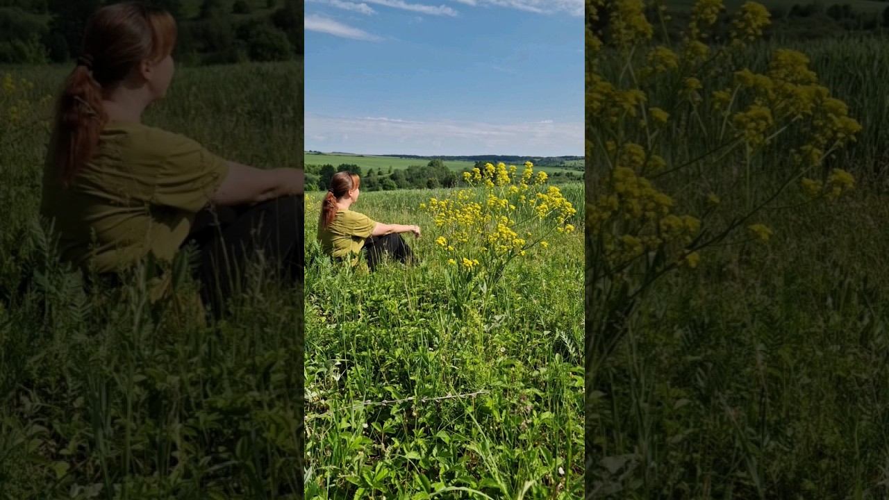 Дом❤️ смотреть онлайн