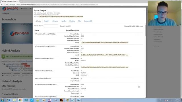 Malware Analysis - Unpacking RunPE Loyeetro Trojan смотреть онлайн