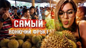 Самый ВОНЮЧИЙ ФРУКТ в мире, так ли это? Пробуем ДУРИАН🤢 ФРУКТЫ ТАЙЛАНДА. Таиланд, Пхукет.