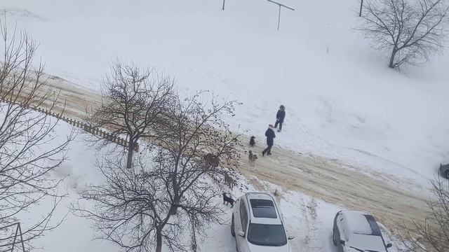 PXL 20220206 091212592 смотреть онлайн