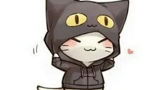 Котики в рейтинговом в Mobail Legends