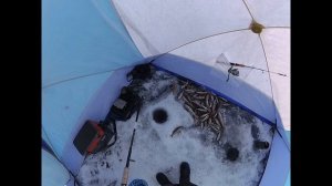 Зимняя рыбалка . Озеро Гусиное 4 февраля.