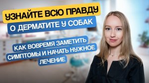 Узнайте всю правду о дерматите у собак как вовремя заметить симптомы и начать нужное лечение