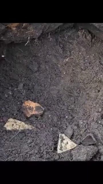 НАХОДКА ЦАРСКИХ РУБЛЕЙ ИЗ КИТАЙСКОГО ЗОЛОТА смотреть онлайн