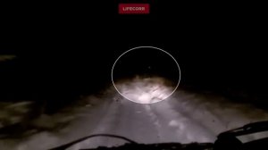 Йети перебежал дорогу перед автомобилем в Башкирии (2016 год)