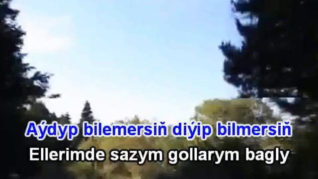 Akys Saparow yol minus karaoke turkmen aydymlar minus karaoke смотреть онлайн