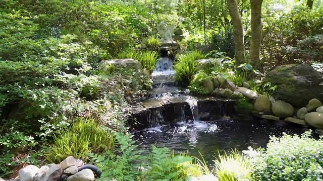 Beautiful Garden Tour смотреть онлайн