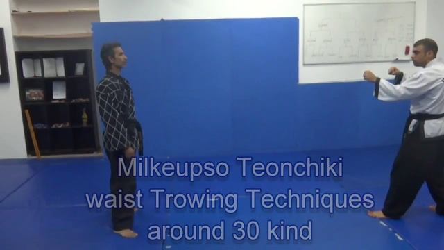 HAPKIDO MOO MOO KWAN BAHRAIN MASTER SALAH