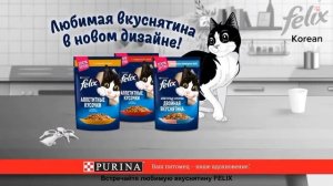 Реклама (Felix Korea Tv) (01.03.2022 08:27)