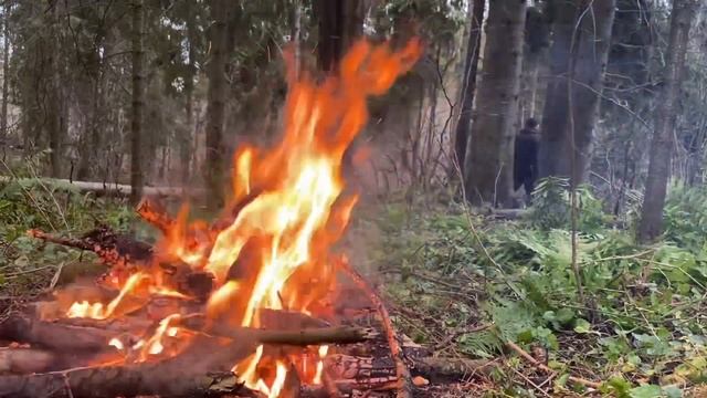 Bushcraft. First snow in the autumn forest смотреть онлайн