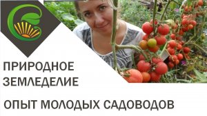 Природное земледелие - опыт молодых дачников