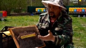 Как Всё начиналось. Семейная пасека Братьев Марченко!!!