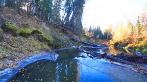 Сплав на плоскодонке. Лёд как наждачка, ноги сводит от напряжения. 12 серия